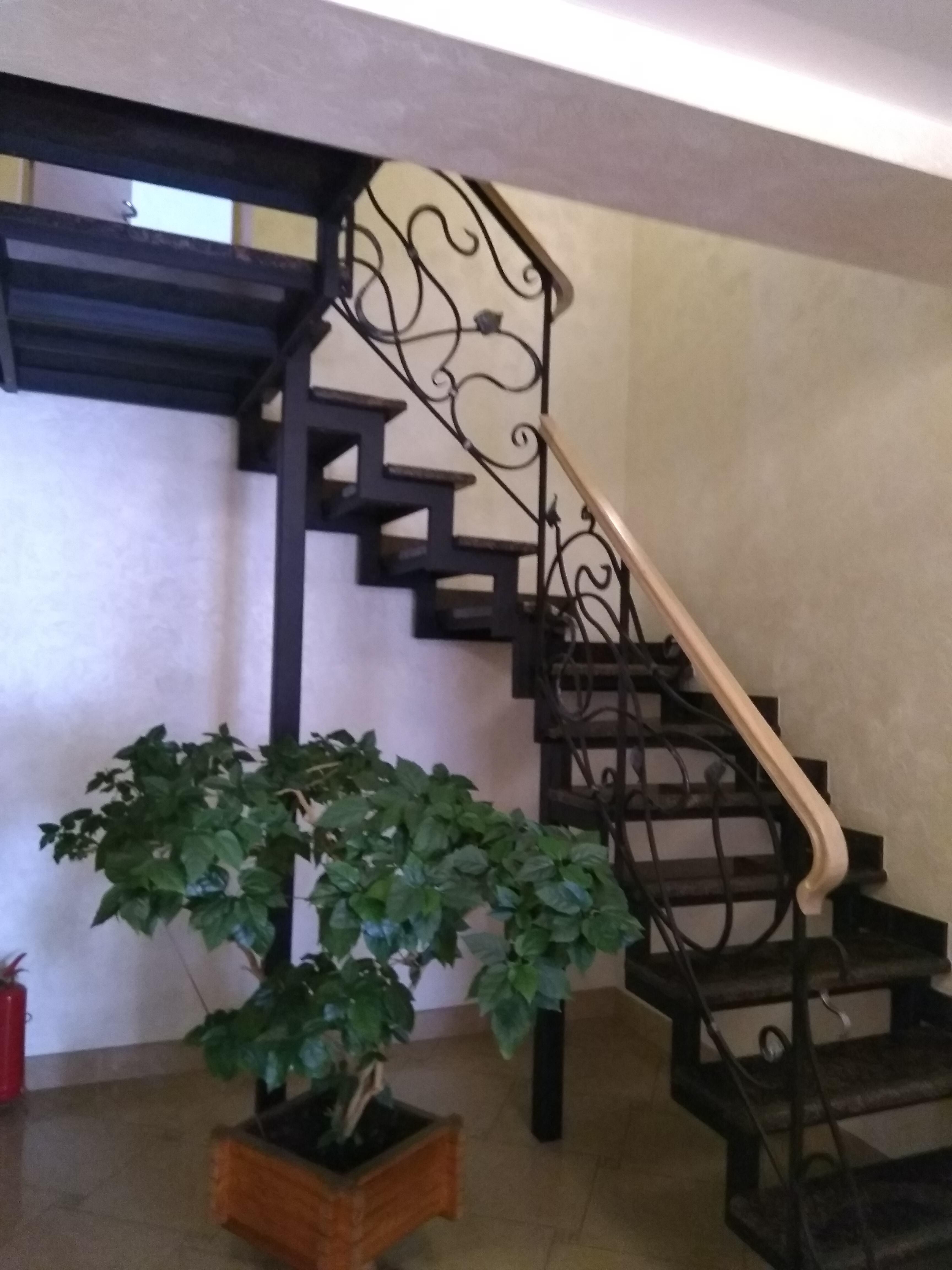 Фото Солнечный