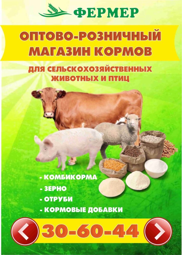 Магазин Продажи Комбикорма