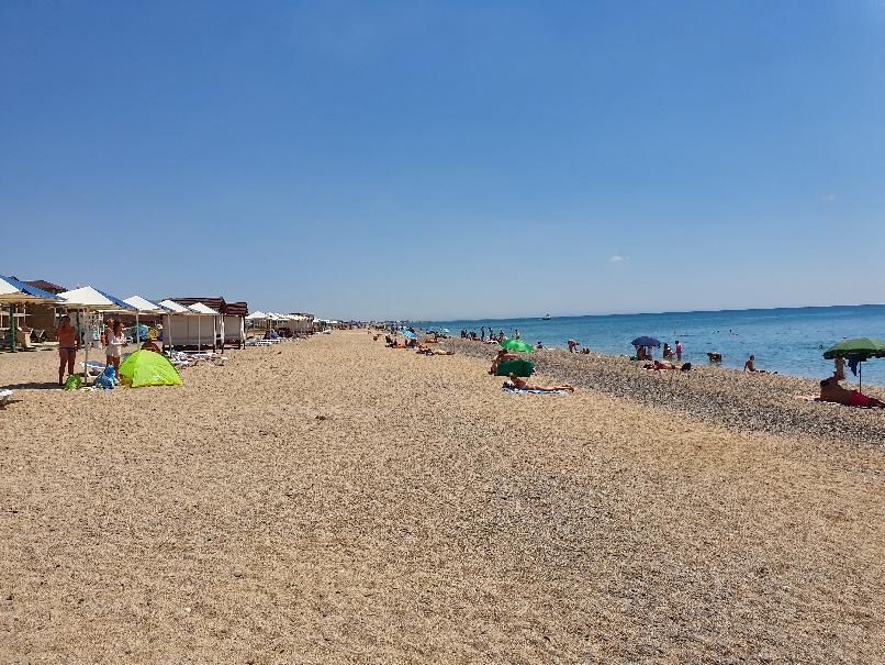 Фото Золотой