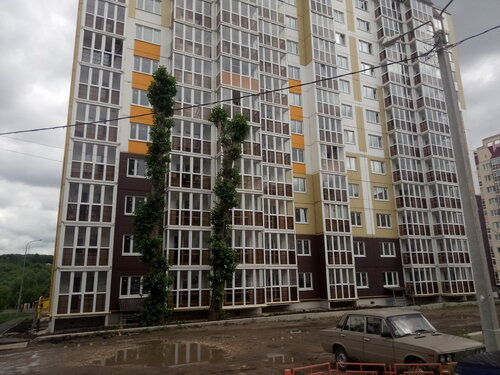 Строительная компания Саранский ДСК, Саранск, фото