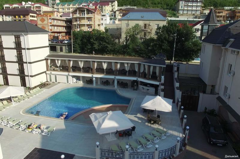 Фото Дельмонт