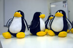 Linuxcenter (Mayakovskogo Street, 16), tienda de electrónica