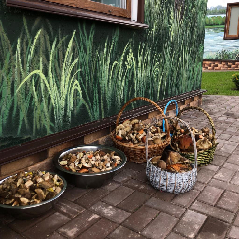 Фото Усадьба Выкопань