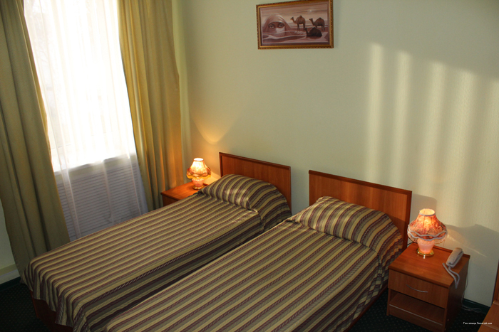 Фото Золотой лев