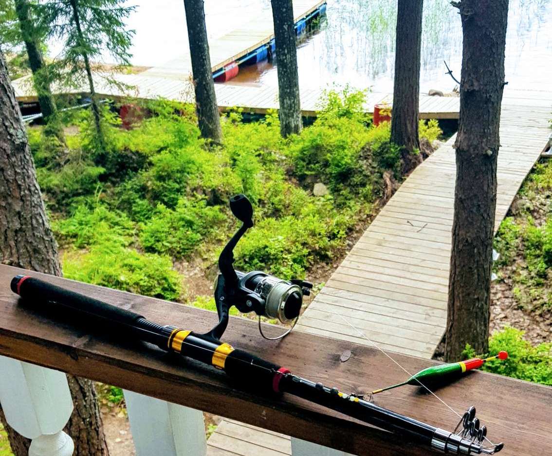 Фото Черная лиса