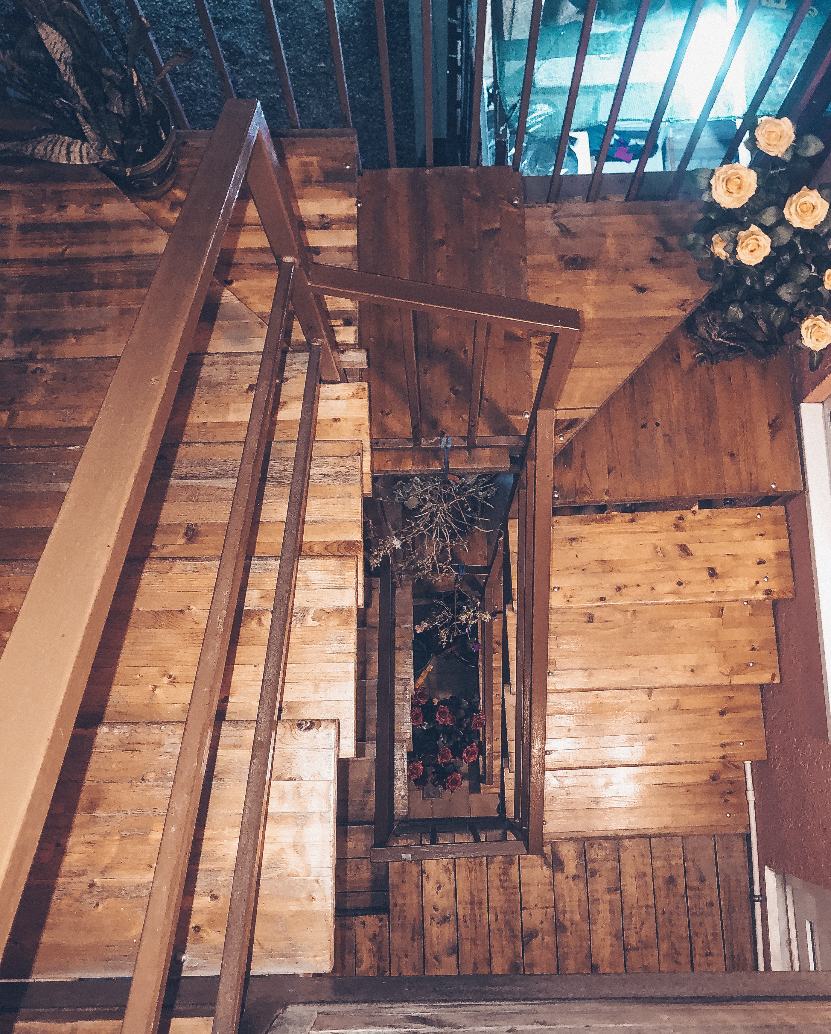 Фото Василиса