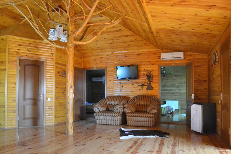 Фото Воробьиное гнездо