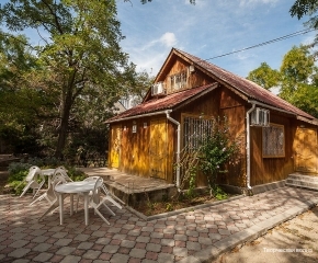 Фото Творческая волна