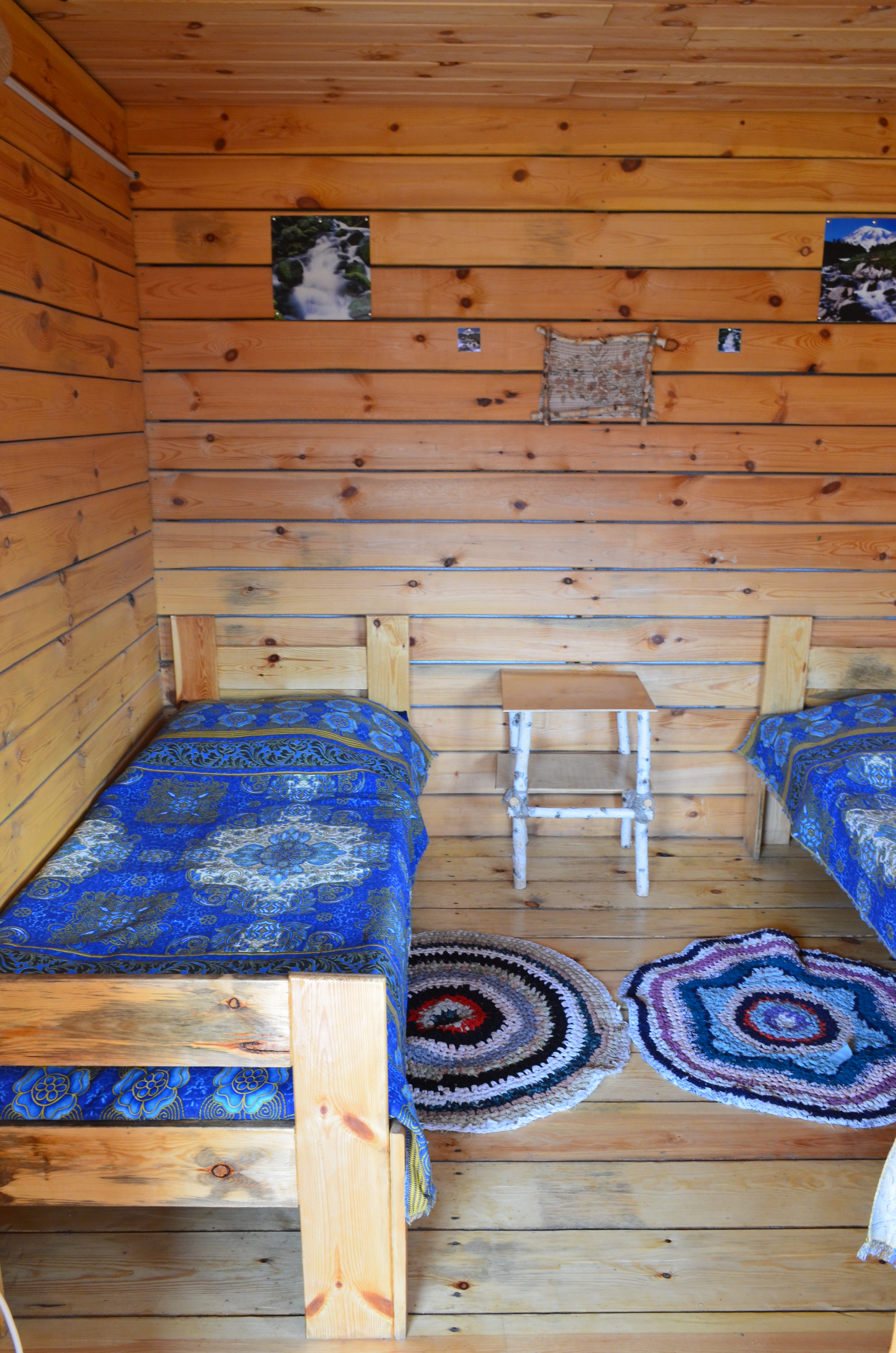 Фото Иволга