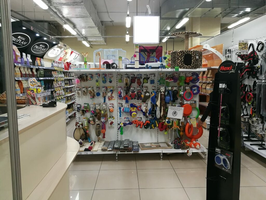 Магазины Котопес Саратов
