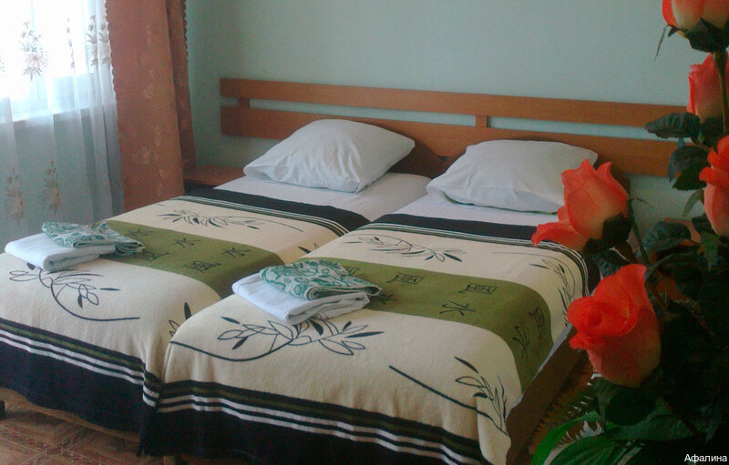 Фото Афалина