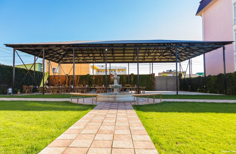 Фото Белый Лев