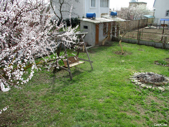 Фото СимСим