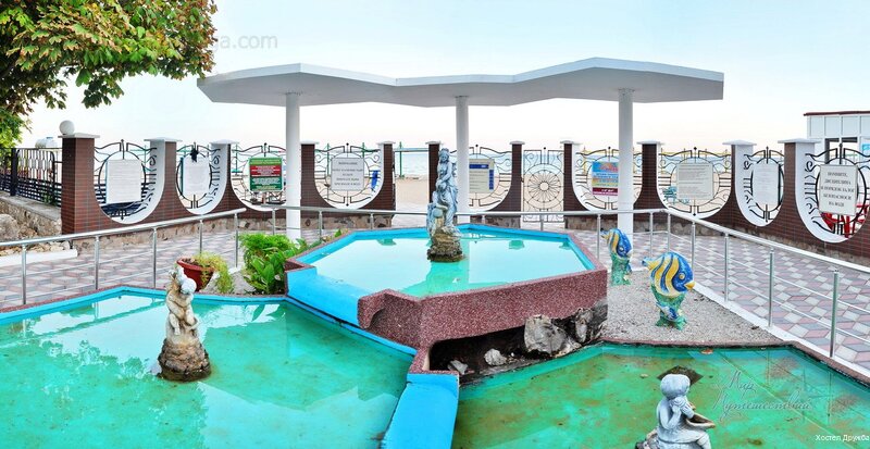 Фото Дружба