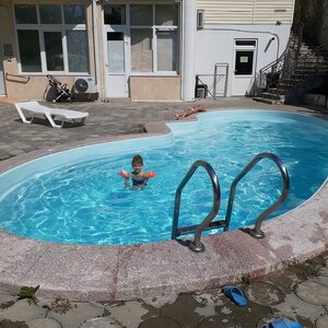 Золотая пальма