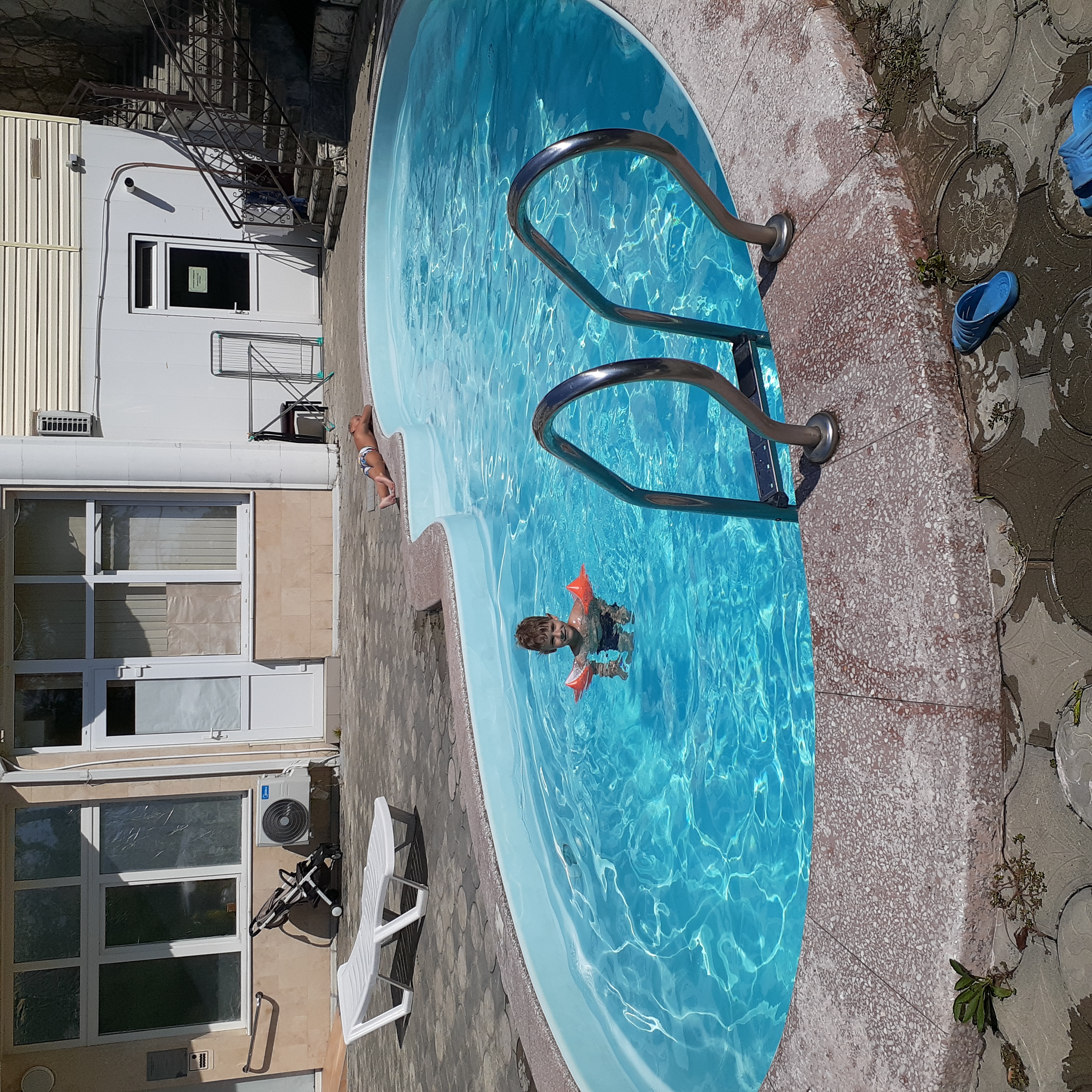 Фото Золотая пальма