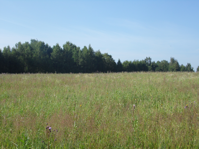 Фото Отдых на Волге