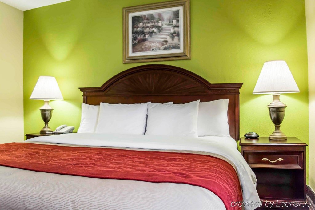 Фото Comfort Inn St Petersburg North