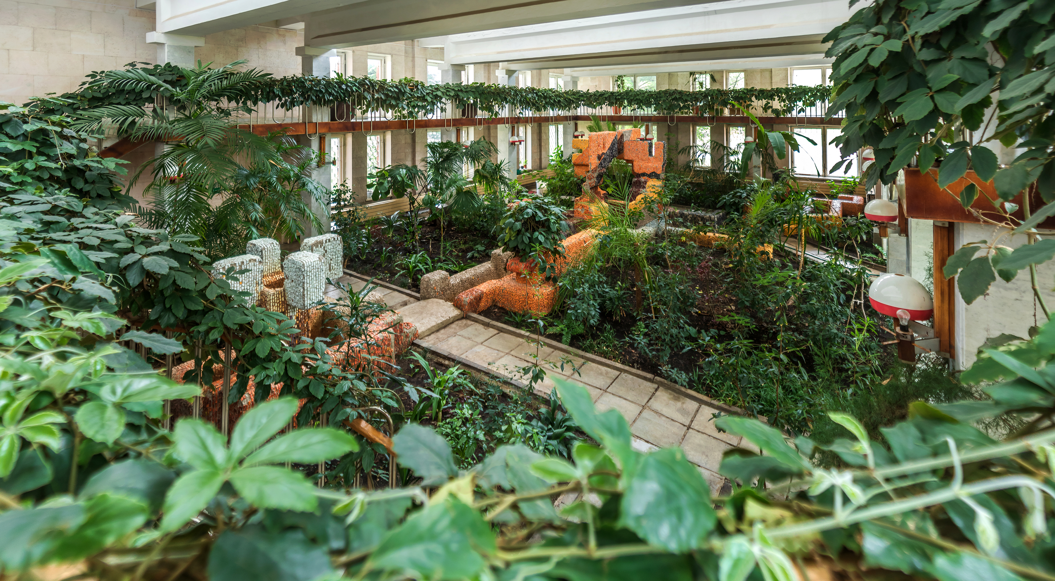 Фото Сосновый