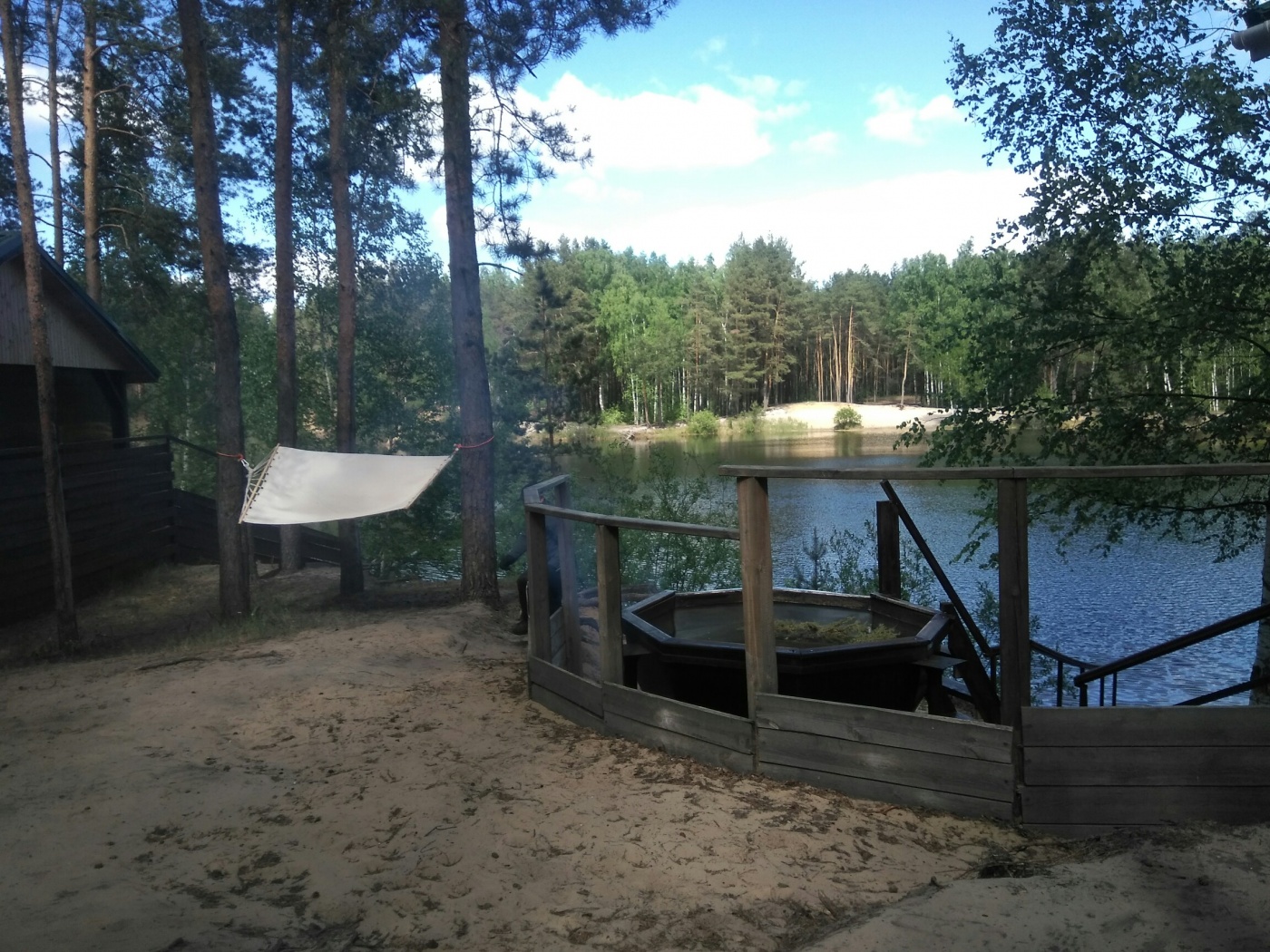 Фото Лесная сказка