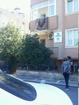 Cekud - Environmental Organizations Solidarity Association (İstanbul, Uskudar, Altunizade Mah., Yetimhane Sok., 6) ، منظمات المجتمع