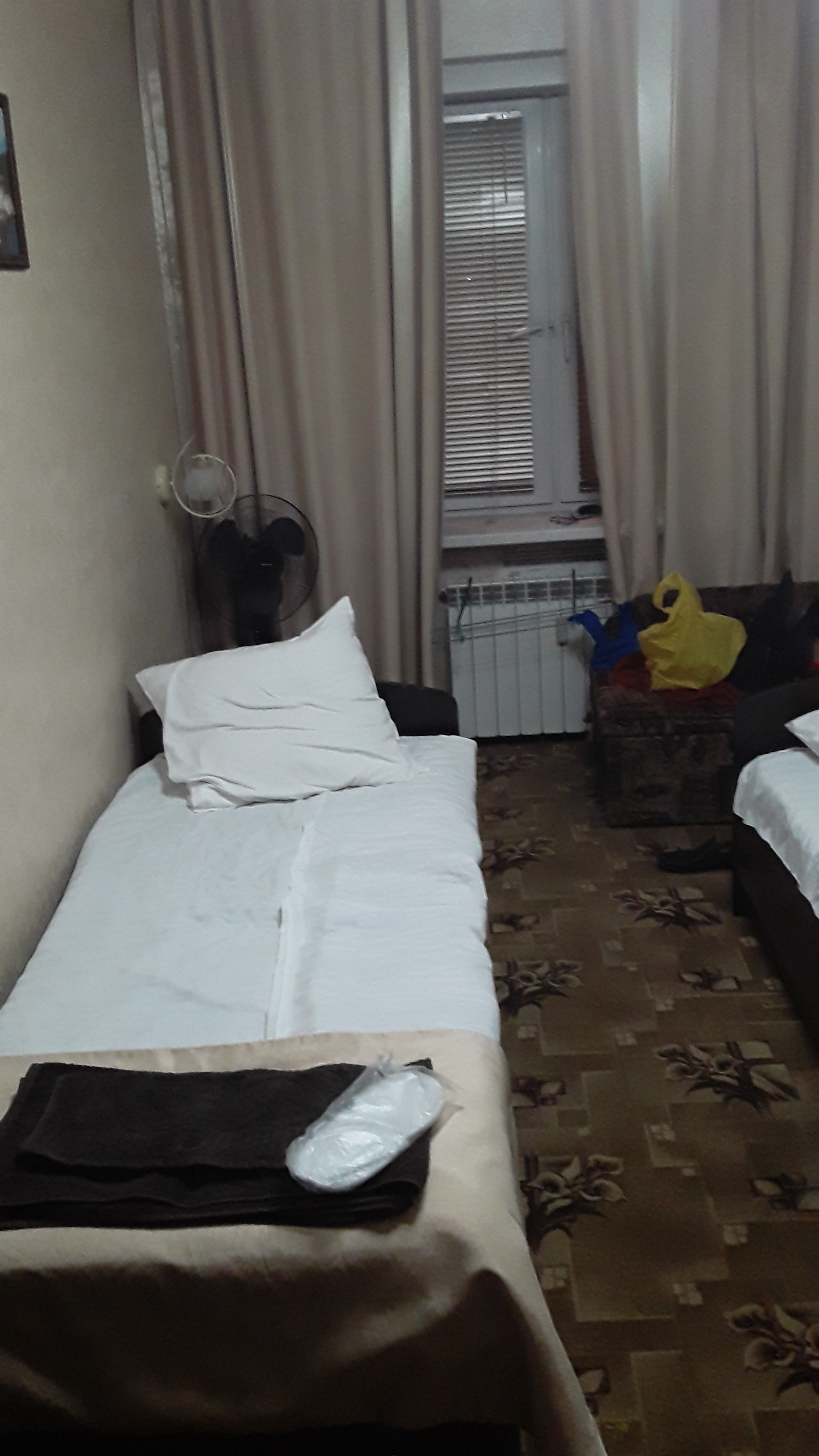 Фото Брусника