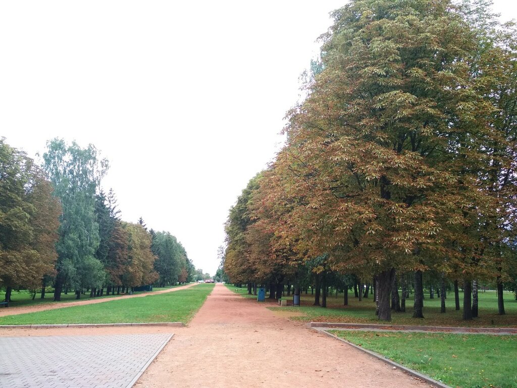 Фото Парка В Гродно