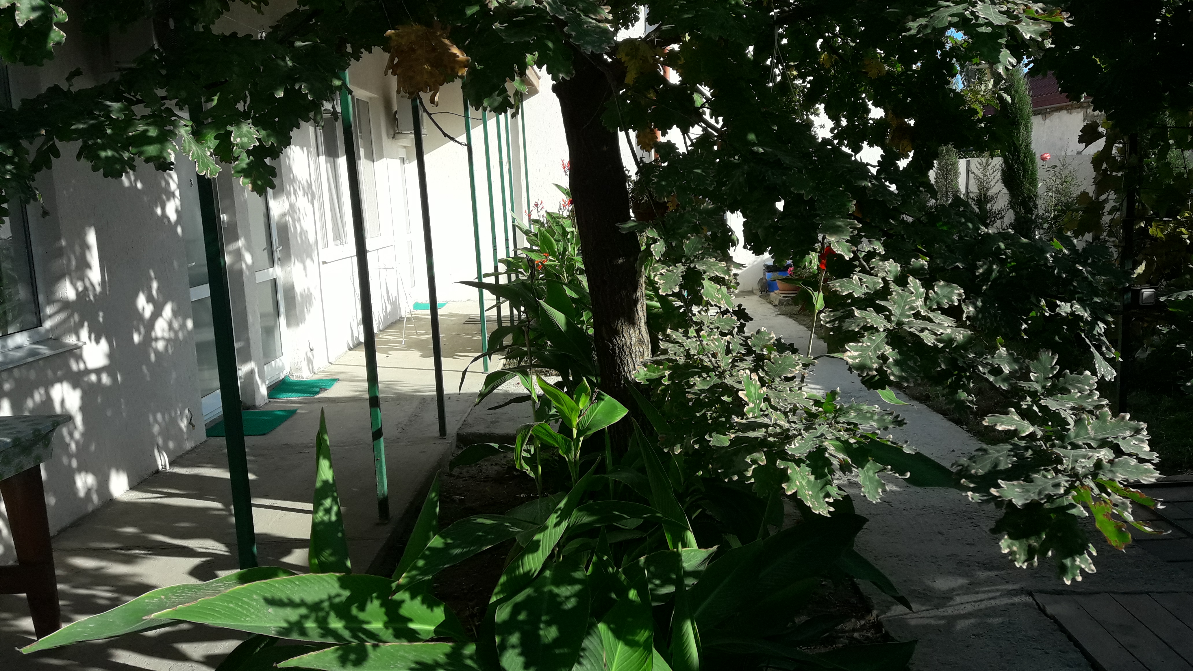 Фото Гостевой дом на улице Шевякова 37