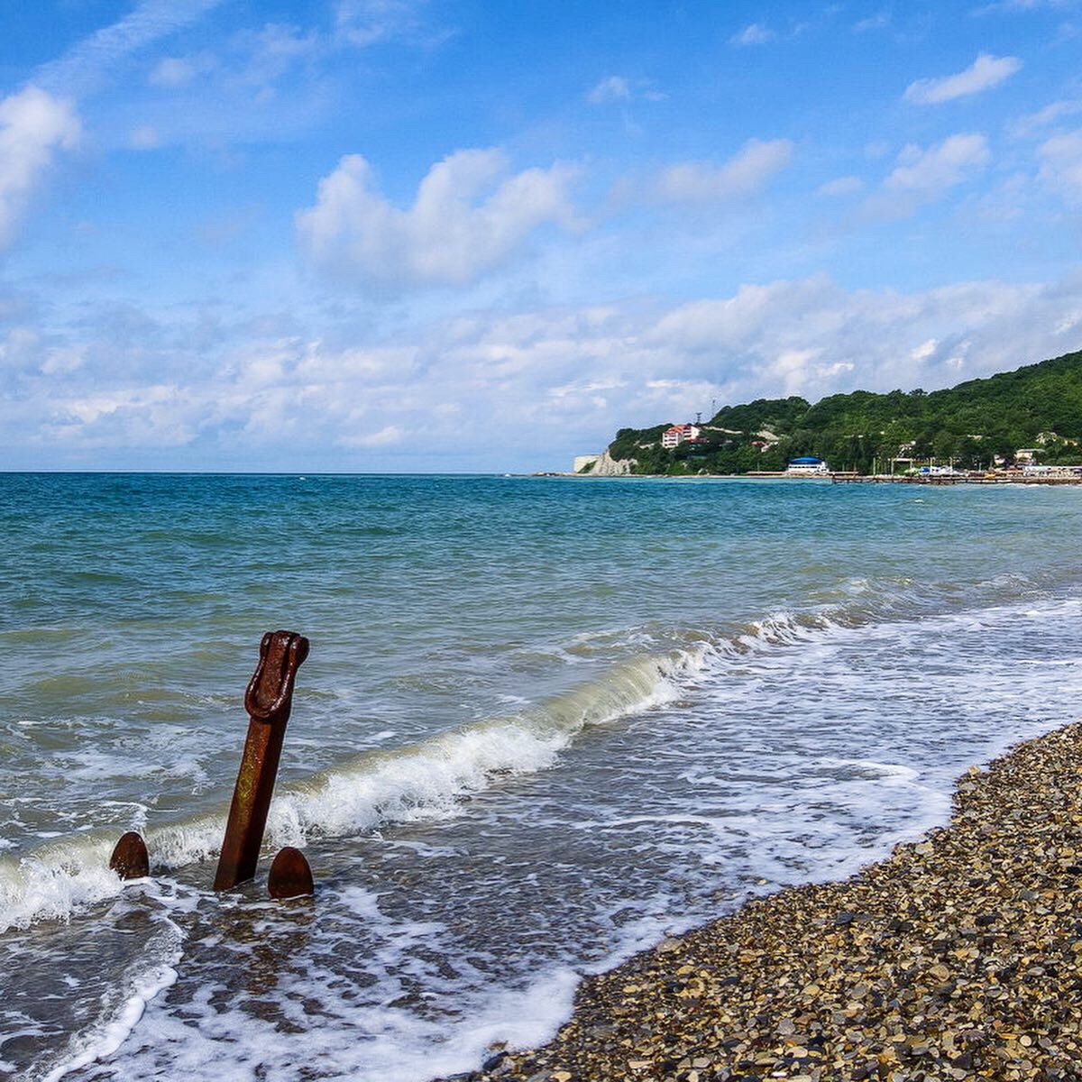 Фото Золотая Подкова