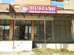 Mustang (Hadzhi Bulacha Street, 16), horse harness