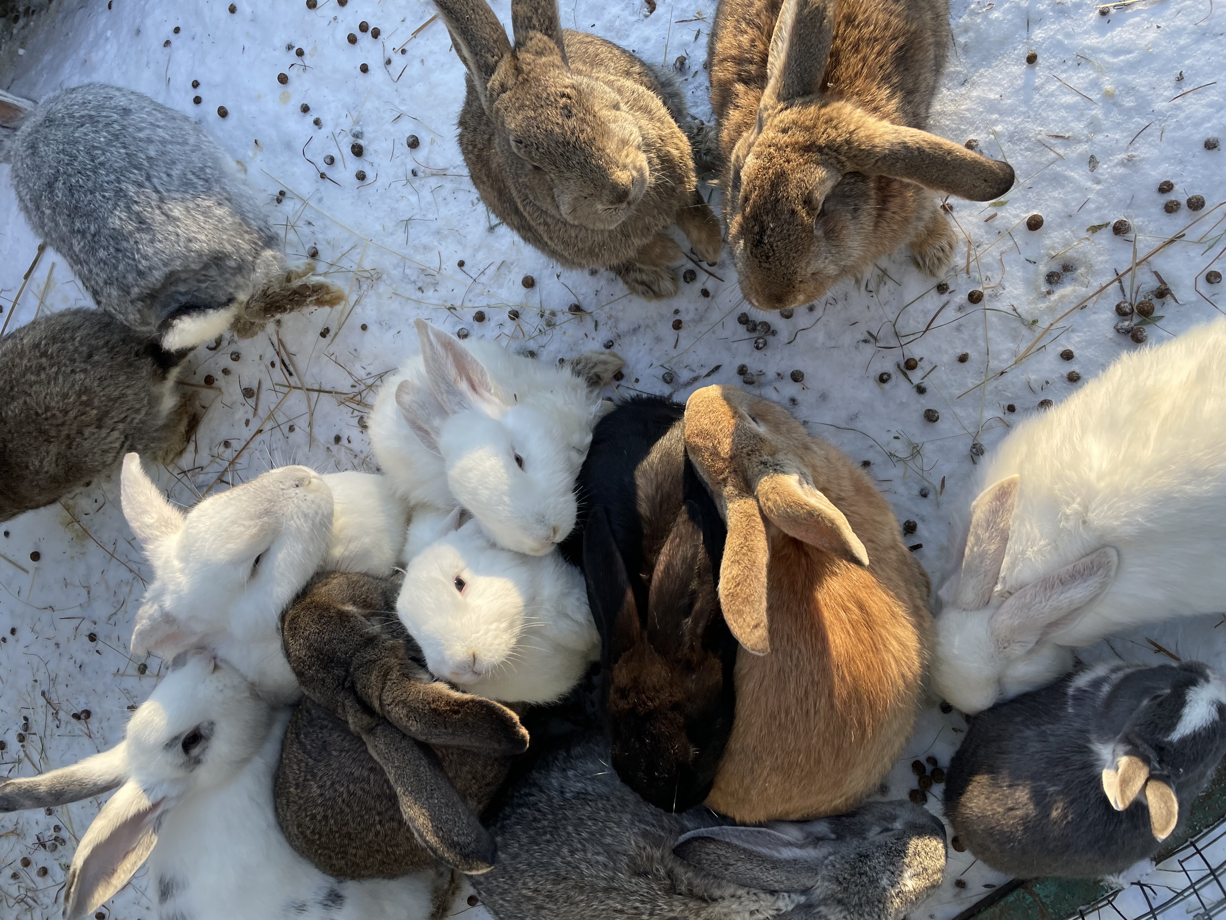 Фото Барская Усадьба