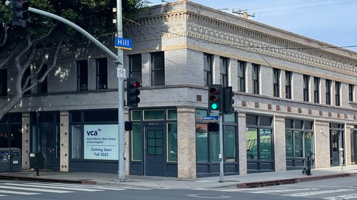 Vca Santa Monica Main Street Animal Hospital