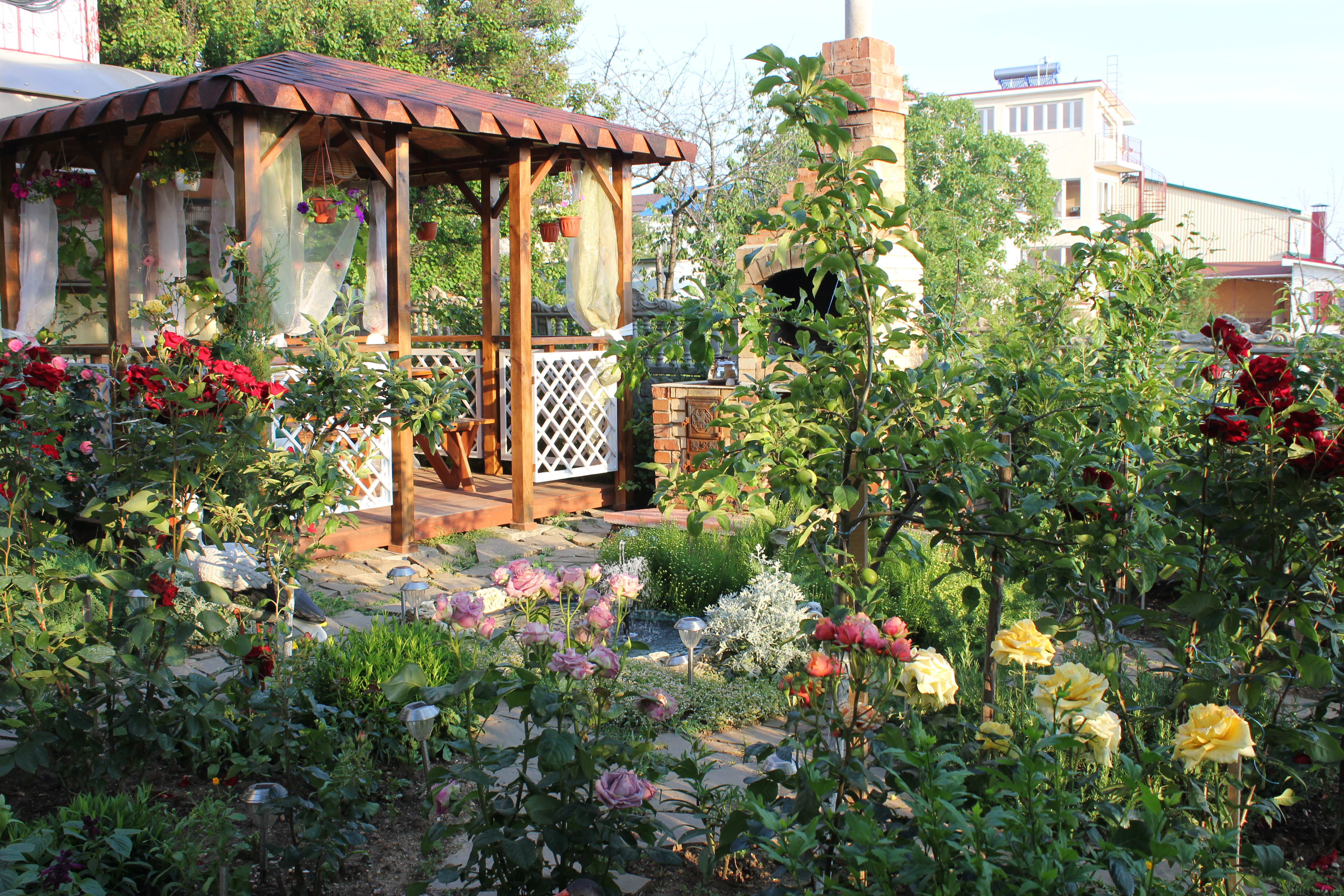 Фото Жемчужина