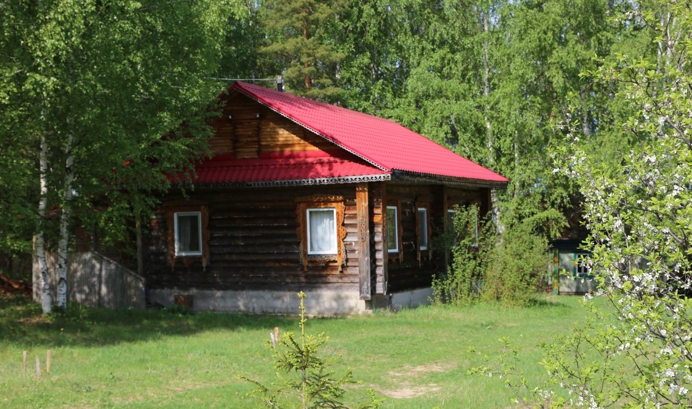 Фото Подсолнухи