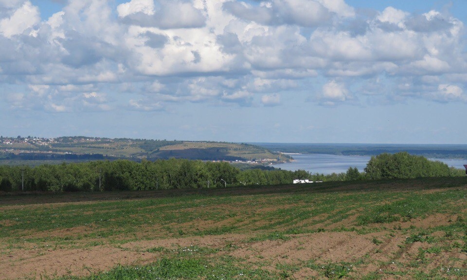 Фото Гнездо