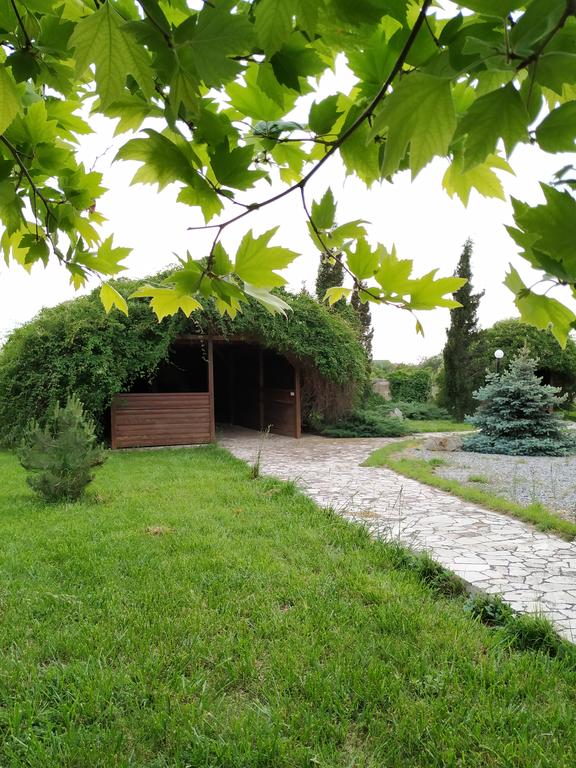 Фото Жемчужина