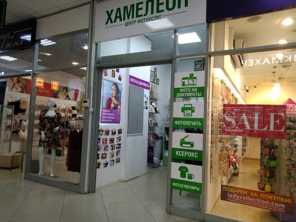 Кафе хамелеон брянск