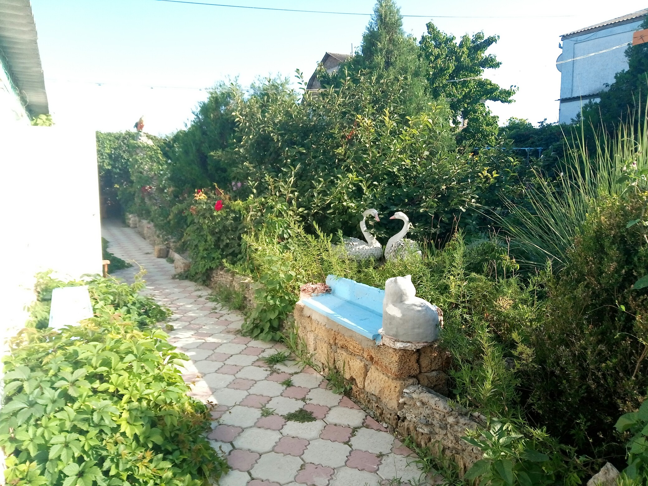 Фото Сказочный дворик