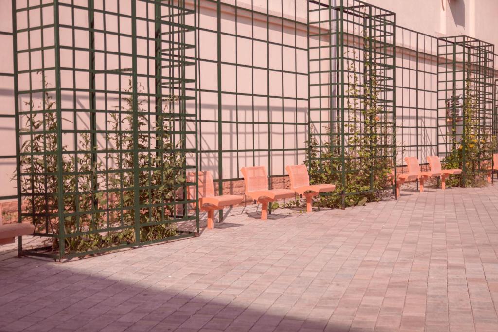 Фото Андрон