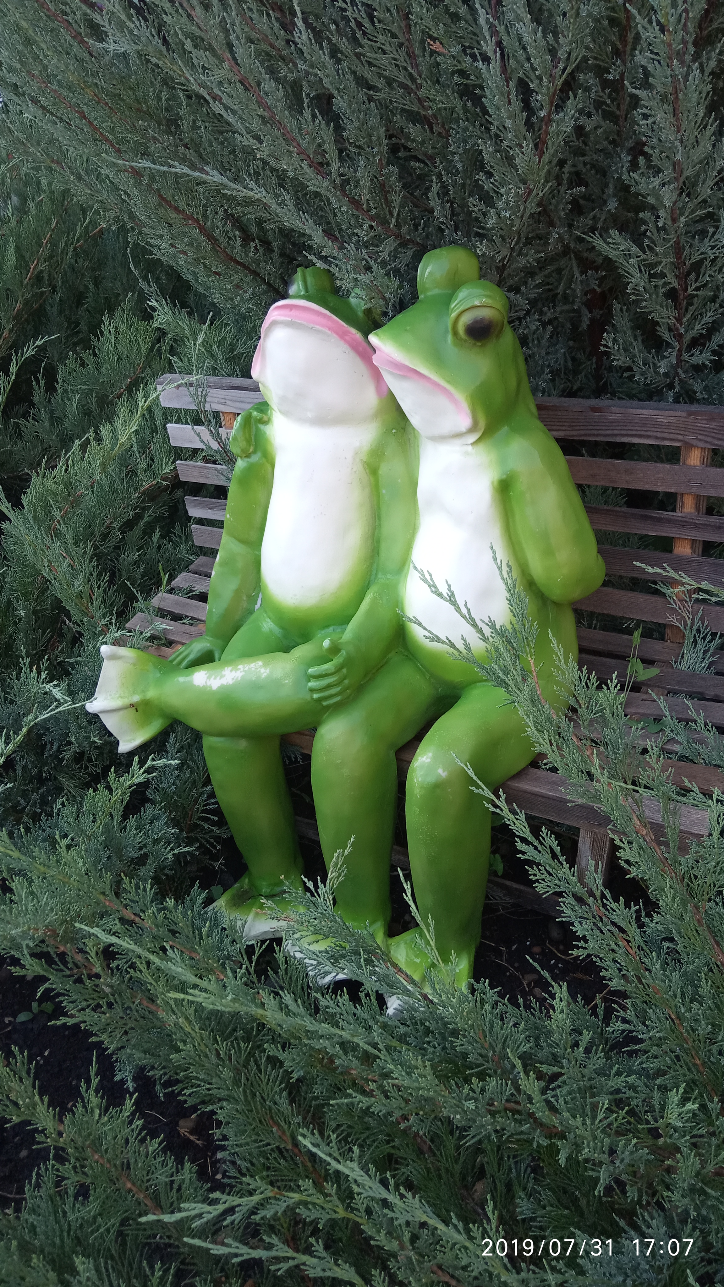 Фото Дюльбер 117