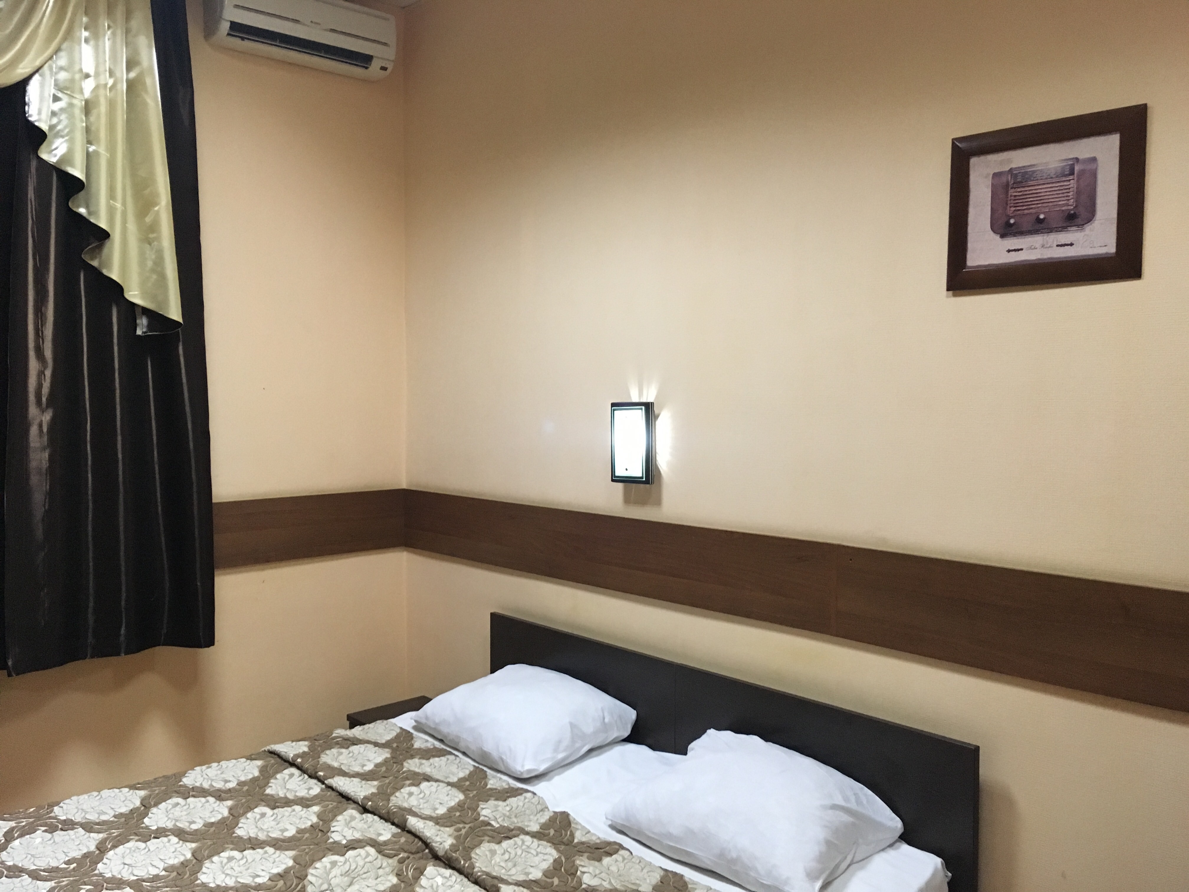 Фото Камелия-В