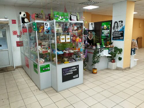 Алексеевка магазин калина
