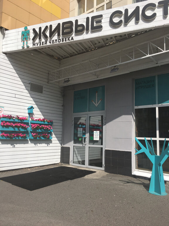 Картинки по запросу живые системы фото