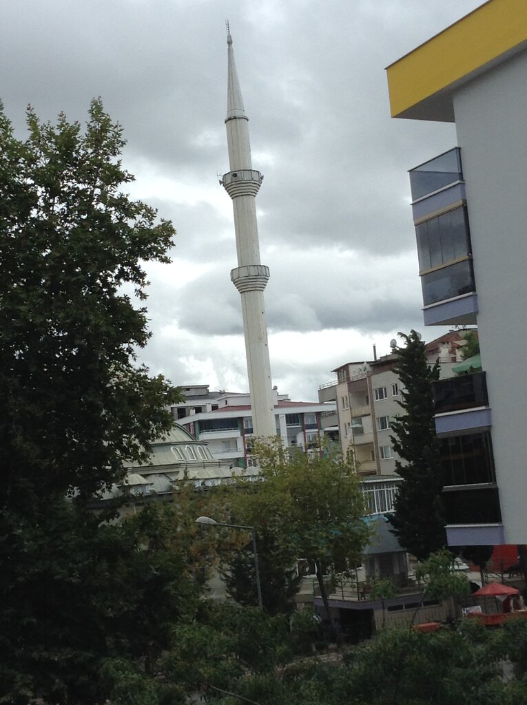 Mosque Omurevleri Mosque, Samsun, photo