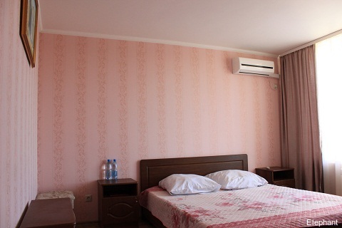 Фото Элефант