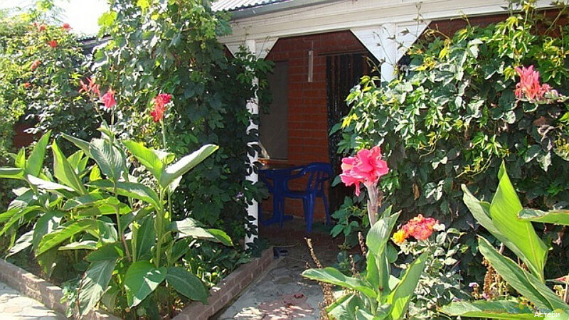 Фото Астери