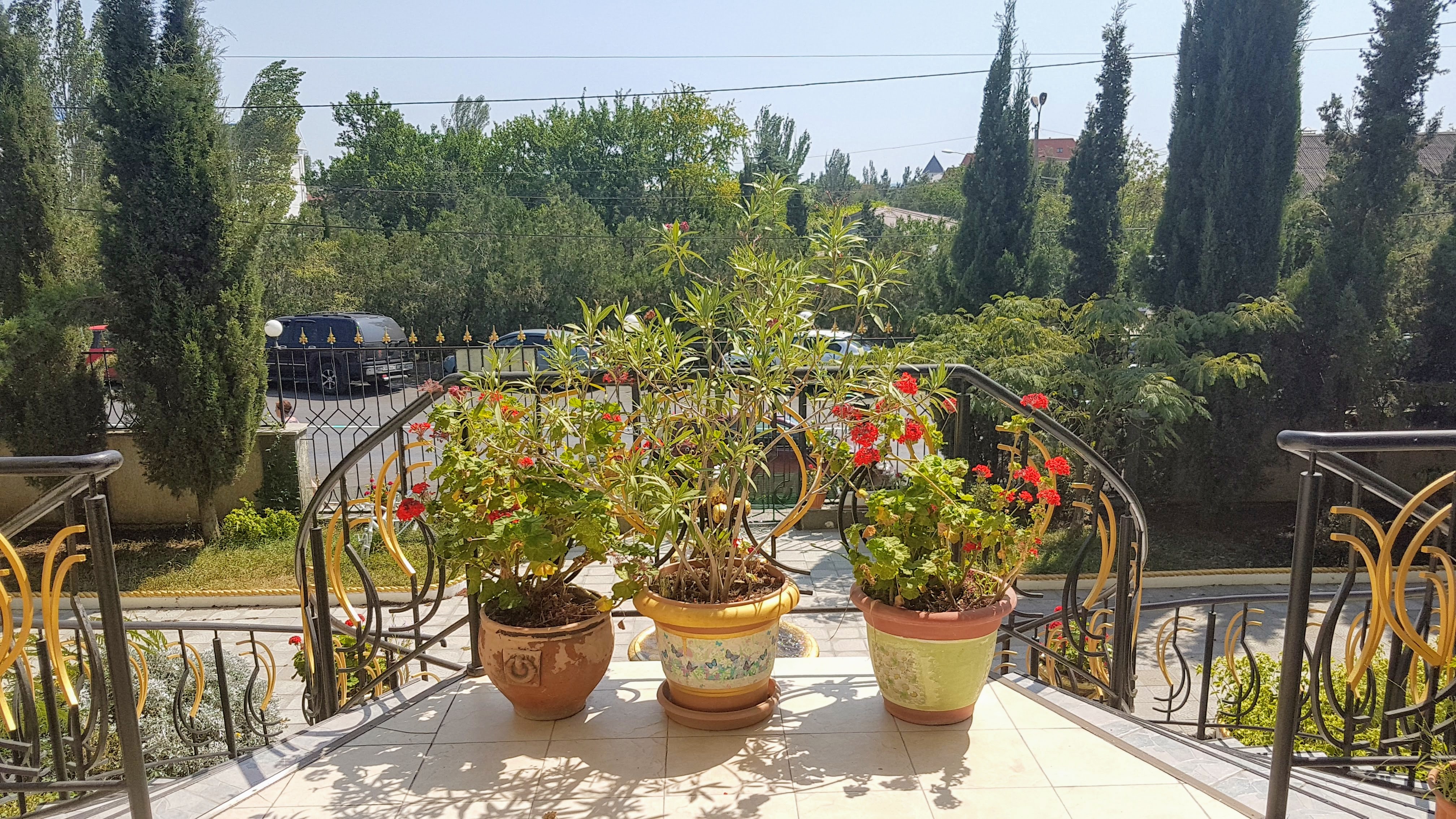 Фото Зеленый рай