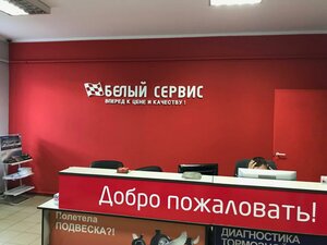 Beliy Service (selo Vinogradovo, 36), car service, auto repair