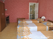 Фото Ковчег