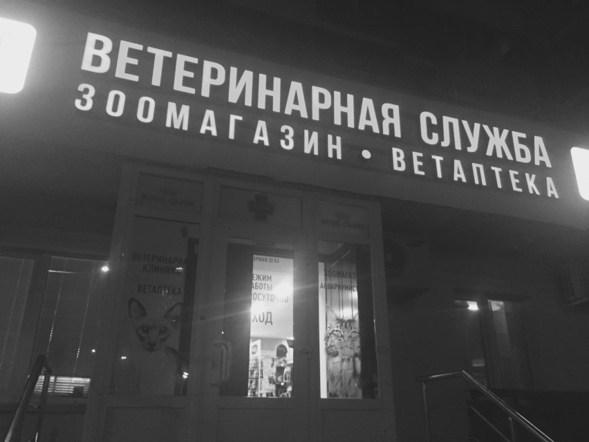 Алый Пёс - фото 15